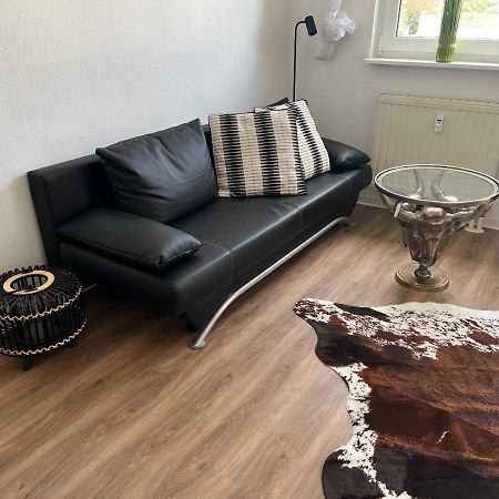 Stylische Ferienwohnung Gratis Wifi Naehe Bahnhof Zwickau Ngoại thất bức ảnh
